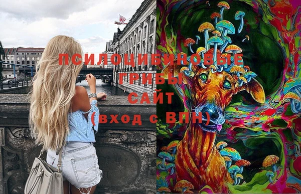 мет Надым