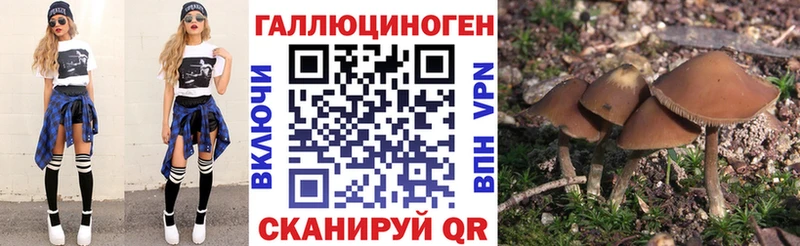 где можно купить   Наволоки  Псилоцибиновые грибы прущие грибы 